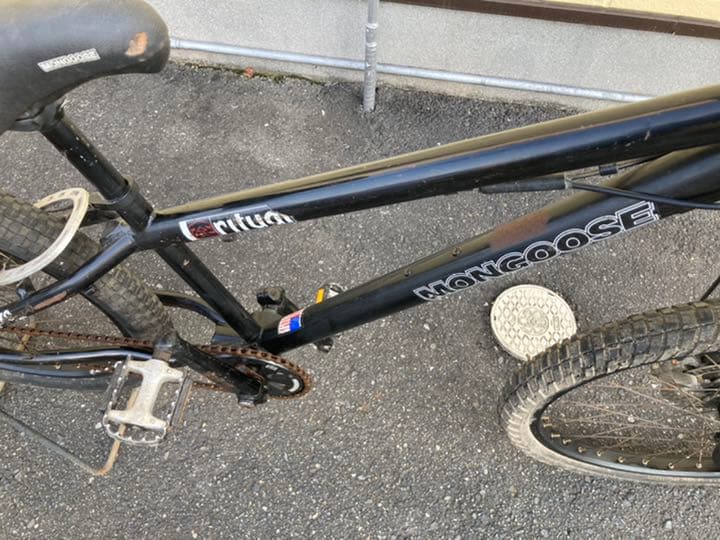 mon ritual 2005 マングース