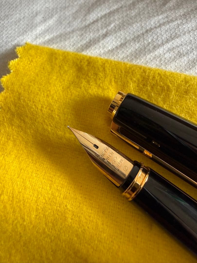 パイロット蒔絵万年筆、竹