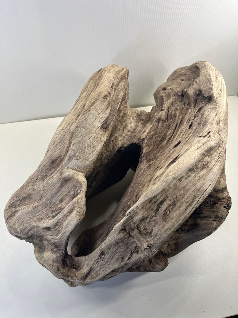 m6大型流木 アク抜き済み 爬虫類シェルター レイアウト用 オブジェ インテリア