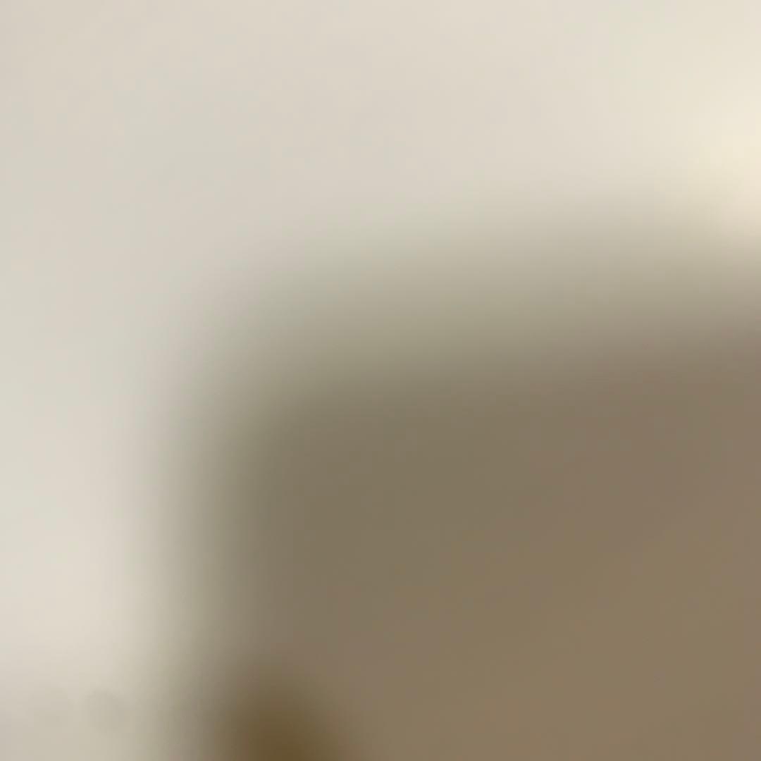 たまごっちみーつ マジカルみーつ パープル 故障