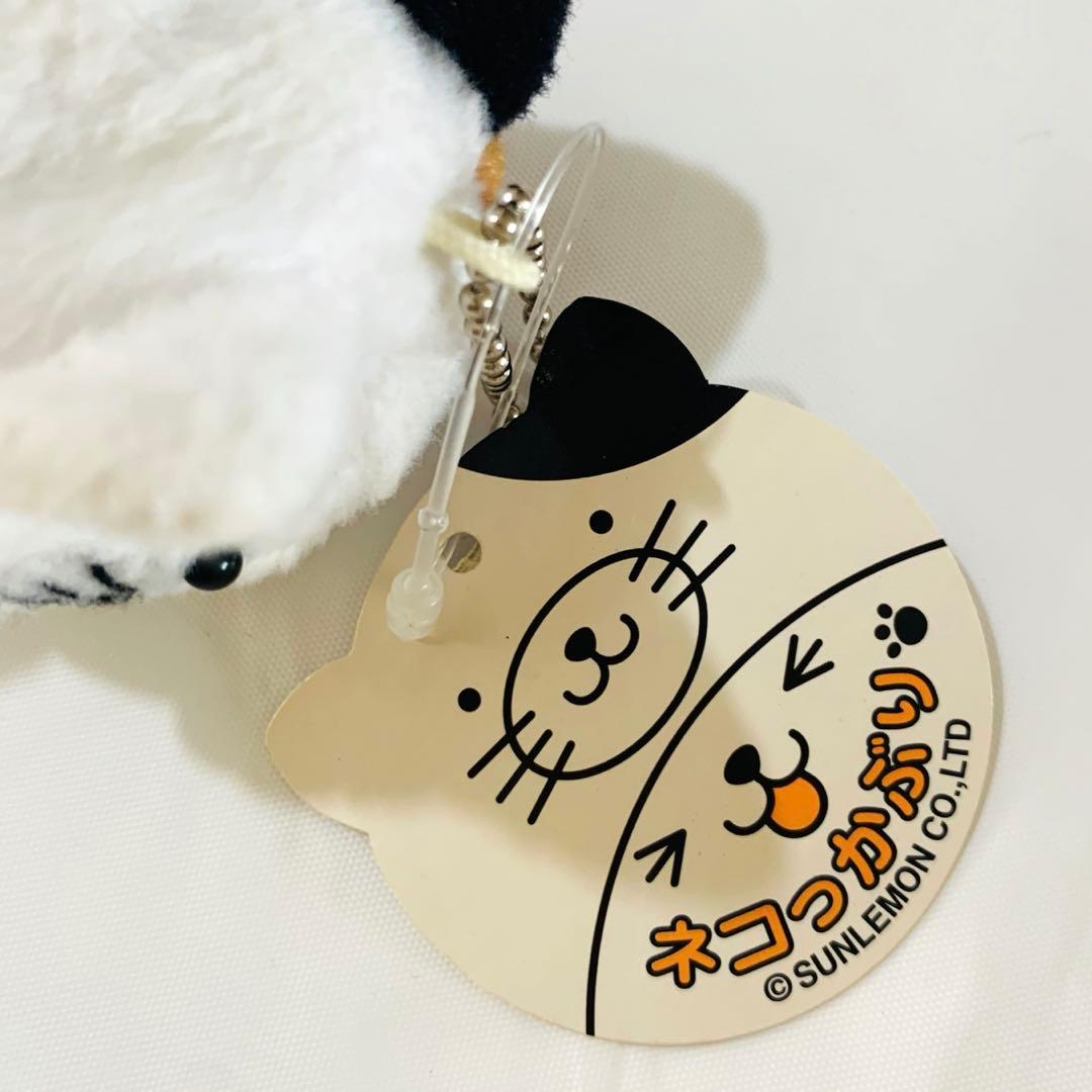 レトロ　ネコっかぶり　サンレモン　タグ付き　希少 猫　帽子　POP'N'KIDS