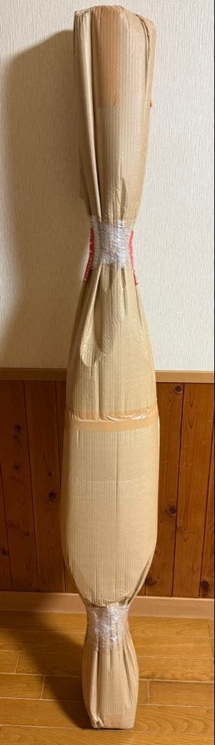 美品 アトミック ATOMIC REDSTER X5 161cm スキー板