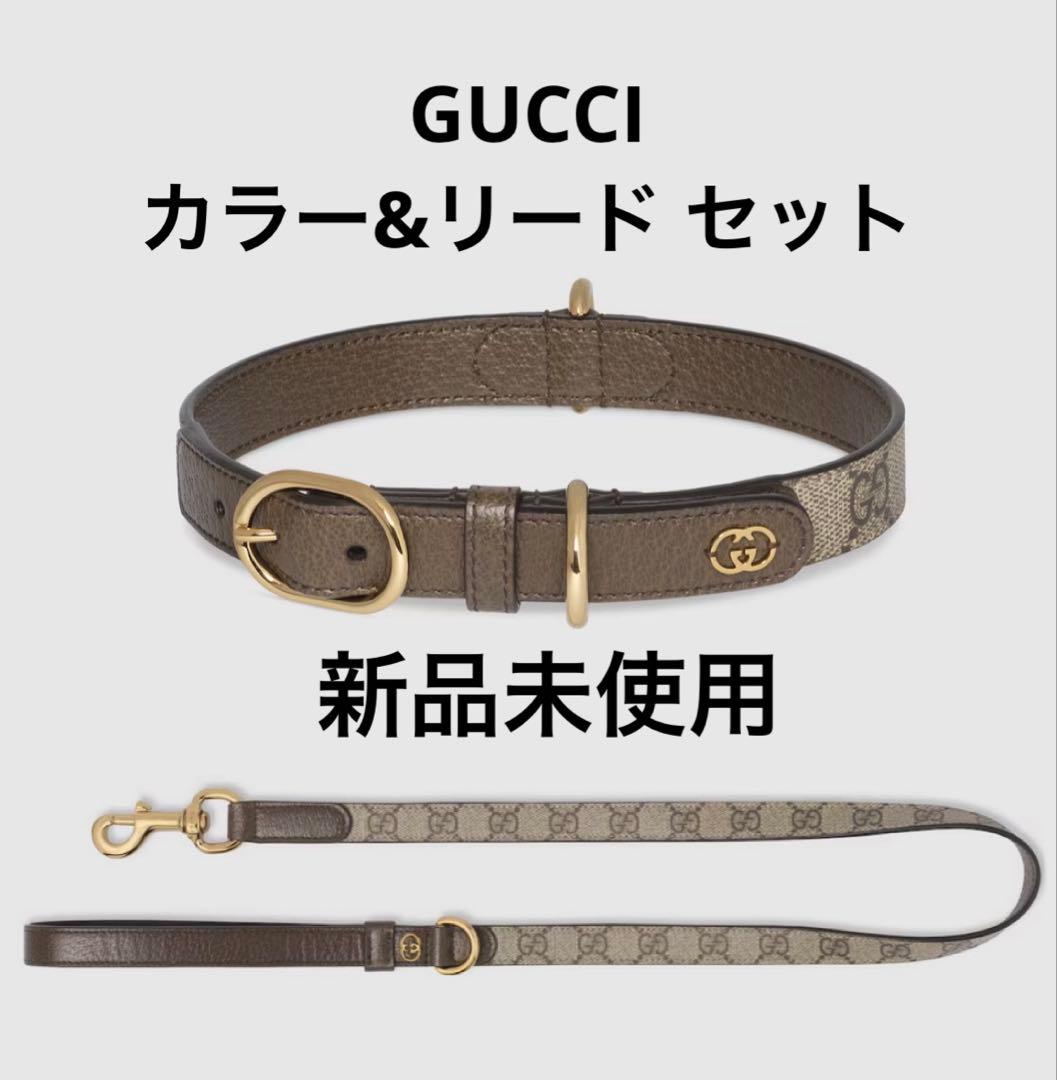 GUCCI ペット　カラー　リード　首輪