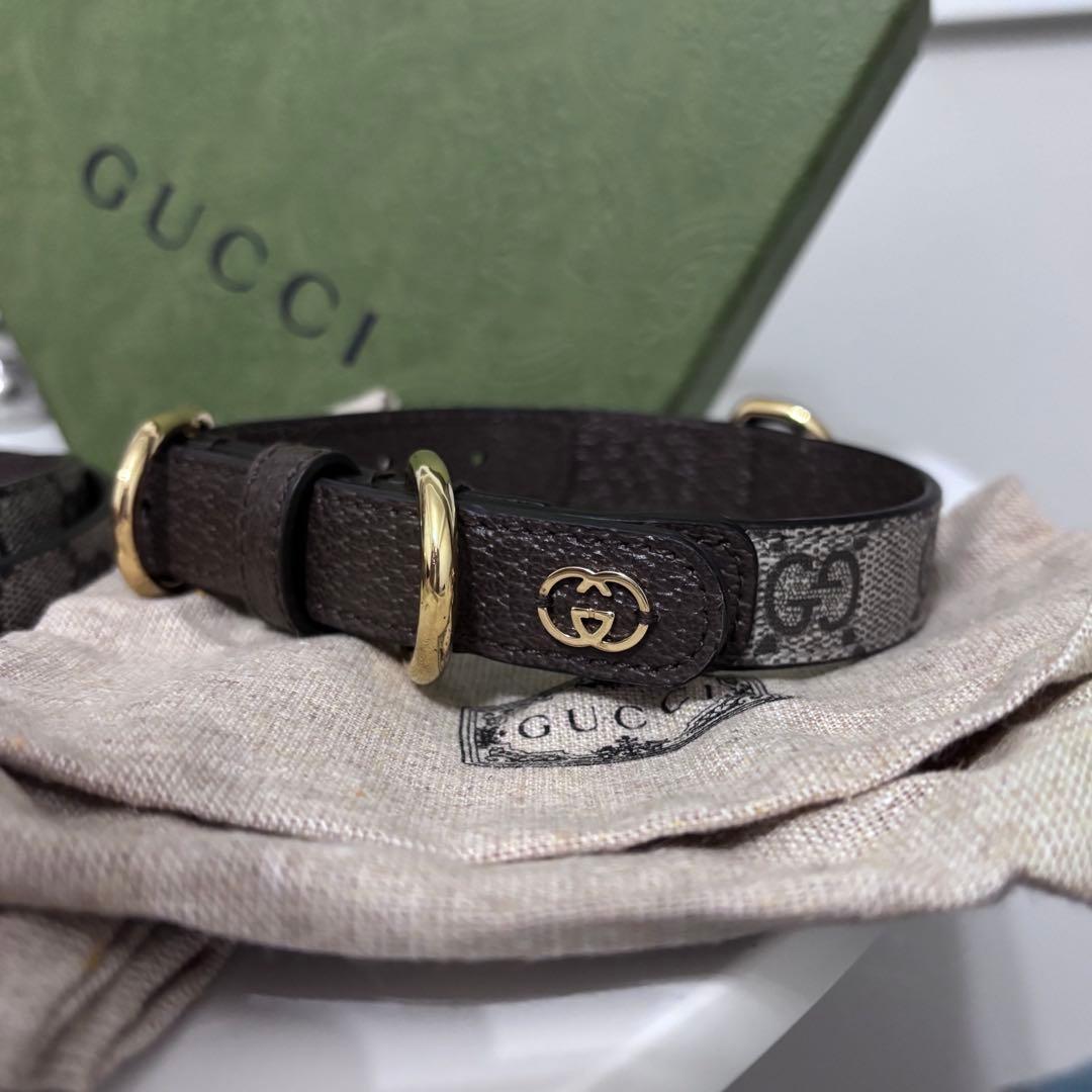 GUCCI ペット　カラー　リード　首輪