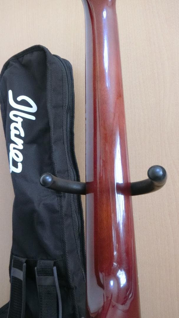 ❤️佐藤 淳一郎商品になります。(￣^￣)ゞ　アイバニーズ AEW22CD