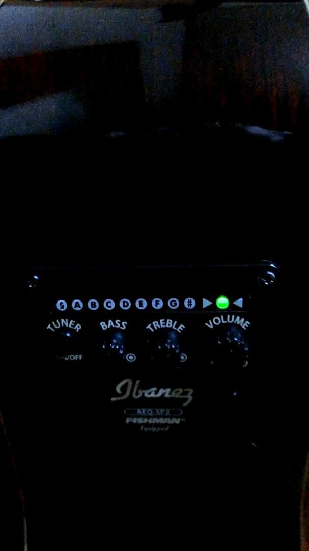 ❤️佐藤 淳一郎商品になります。(￣^￣)ゞ　アイバニーズ AEW22CD