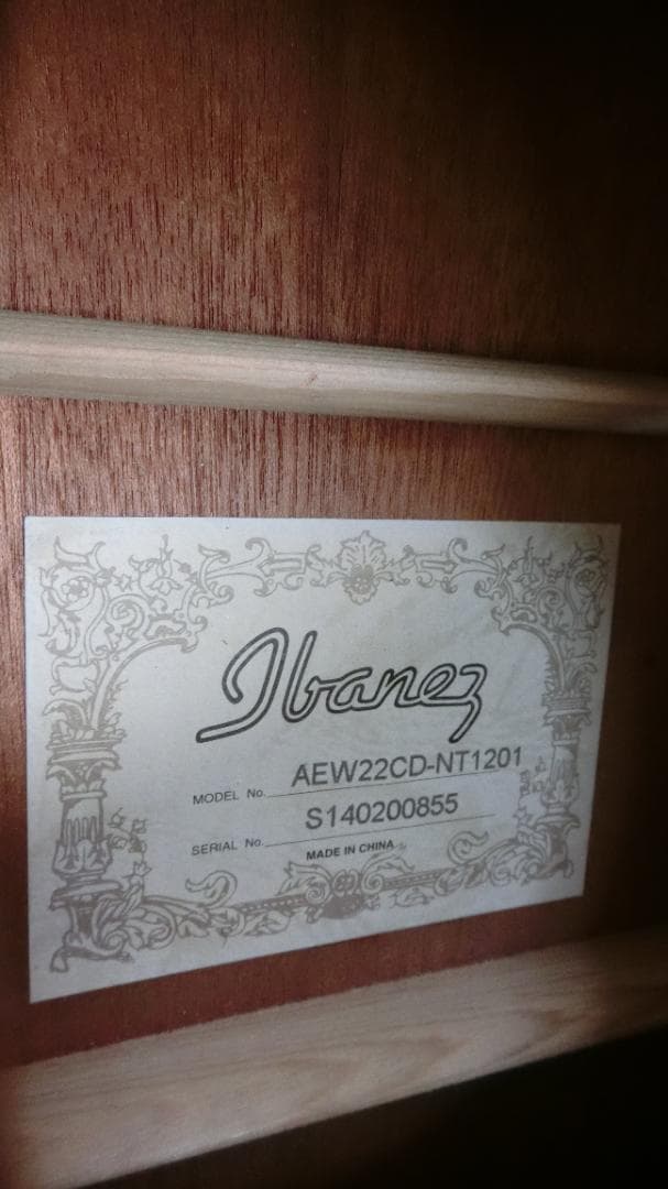 ❤️佐藤 淳一郎商品になります。(￣^￣)ゞ　アイバニーズ AEW22CD