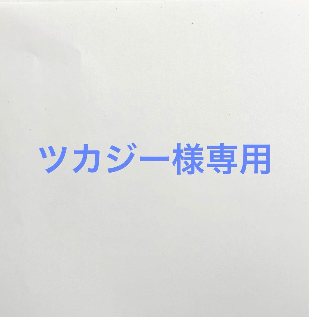 【ツカジー】 レトロミニカー9台まとめ売り