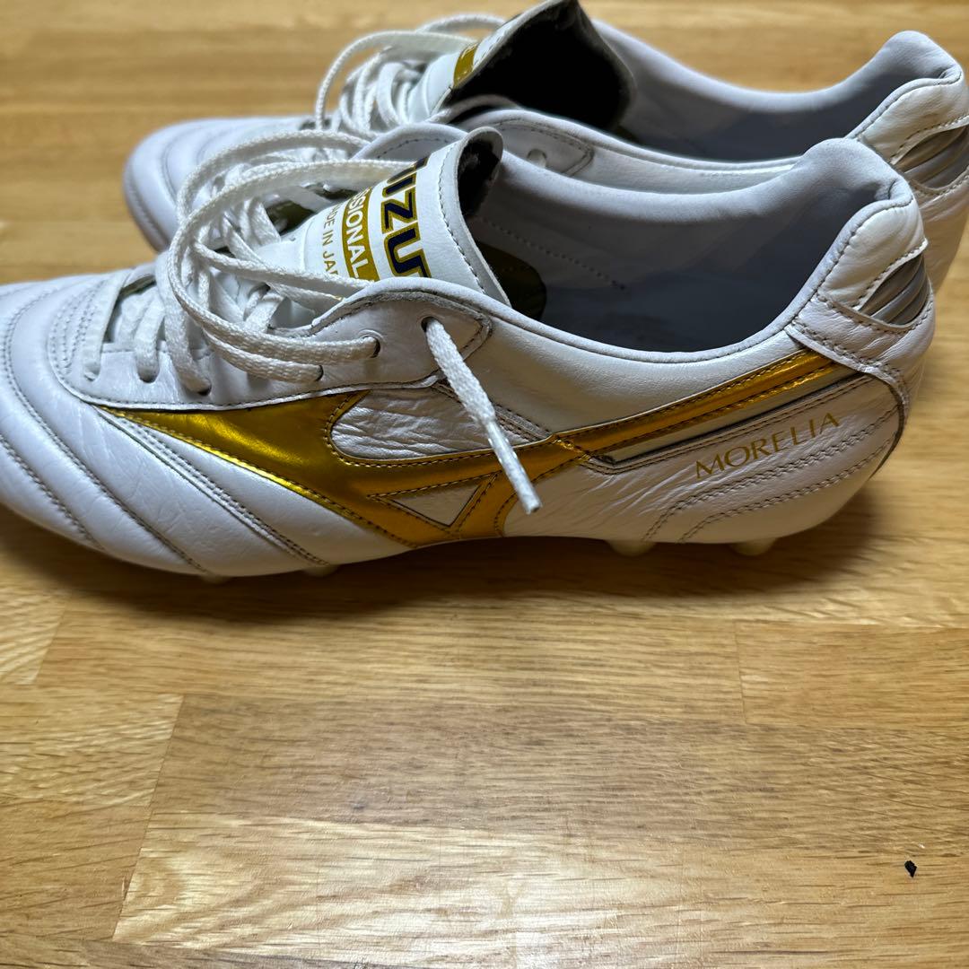 モレリア2Japan 25.0