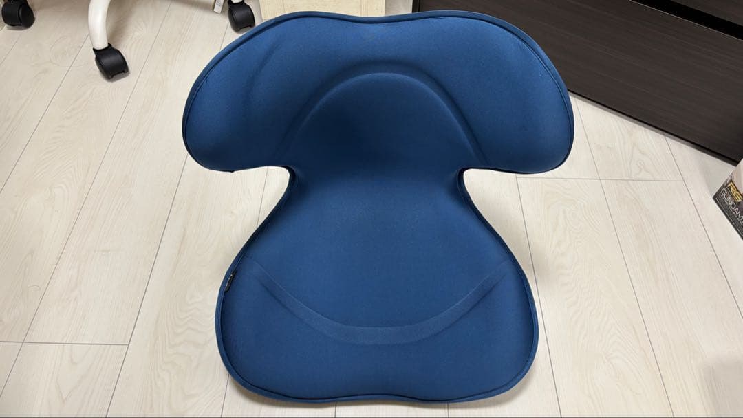 Style SMART スタイルスマート MTG 姿勢矯正クッション