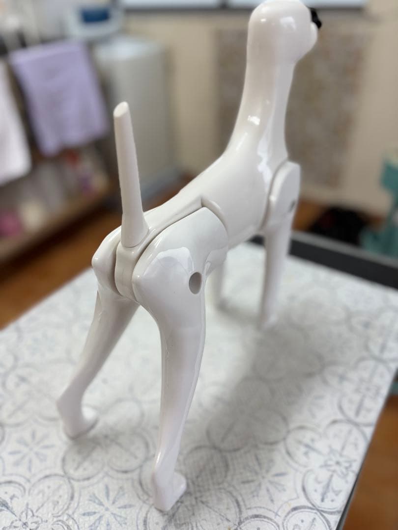 トリミング練習　全身用マネキン　RIKEIプードル　全身用プードルウィッグセット