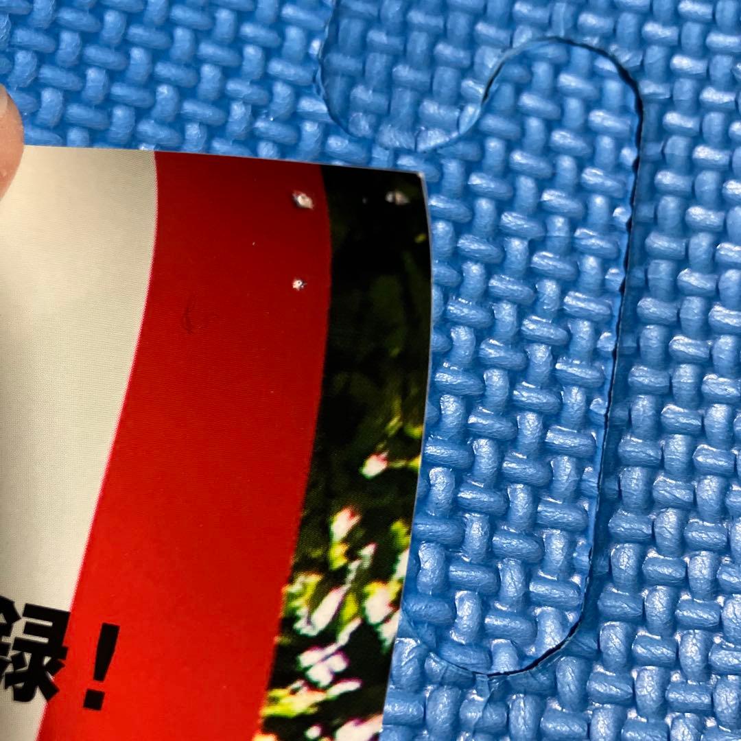 SCANDAL B2サイズ ポスター 2枚セット BEST/少女S