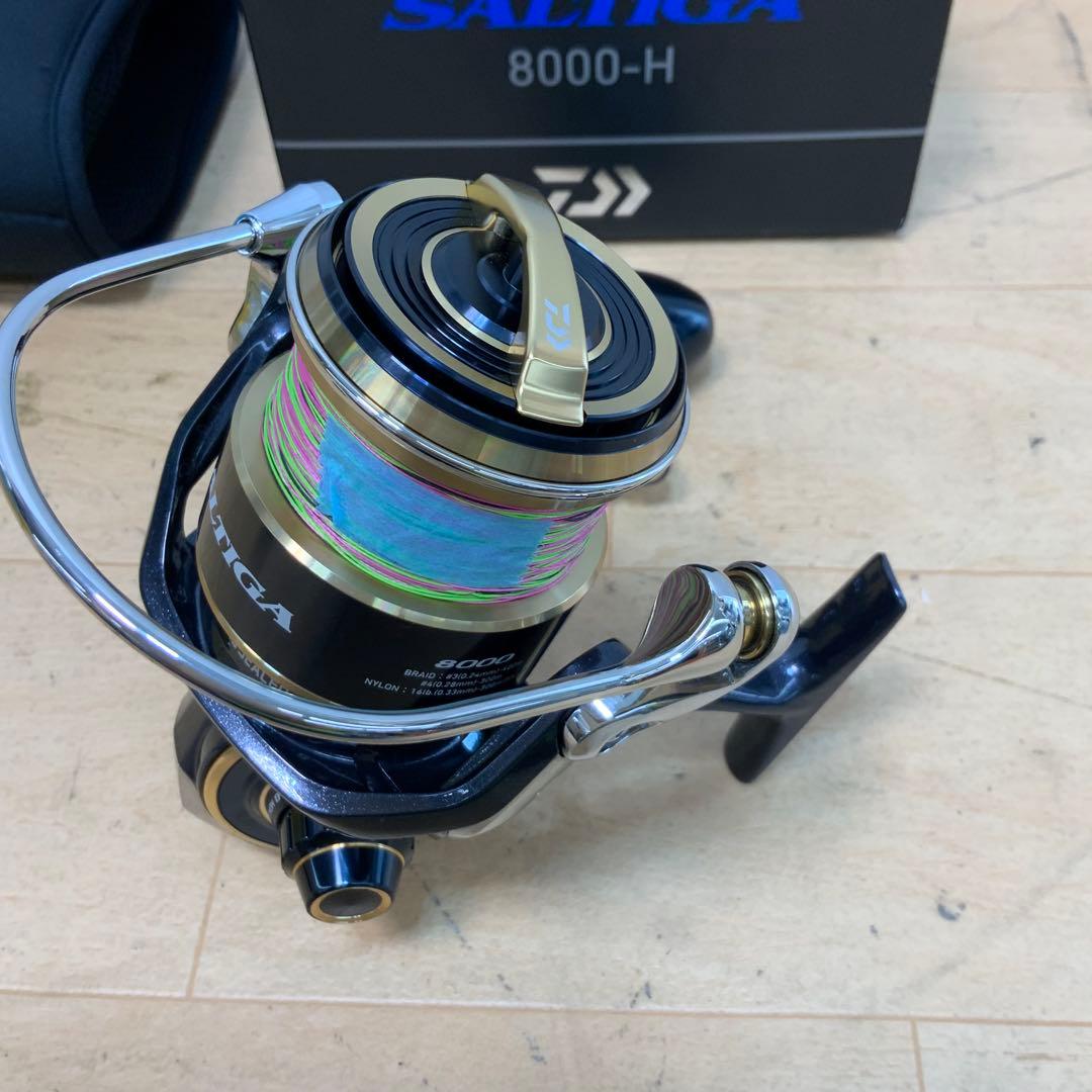 ダイワ　20SALTIGA（ソルティガ）　8000-H