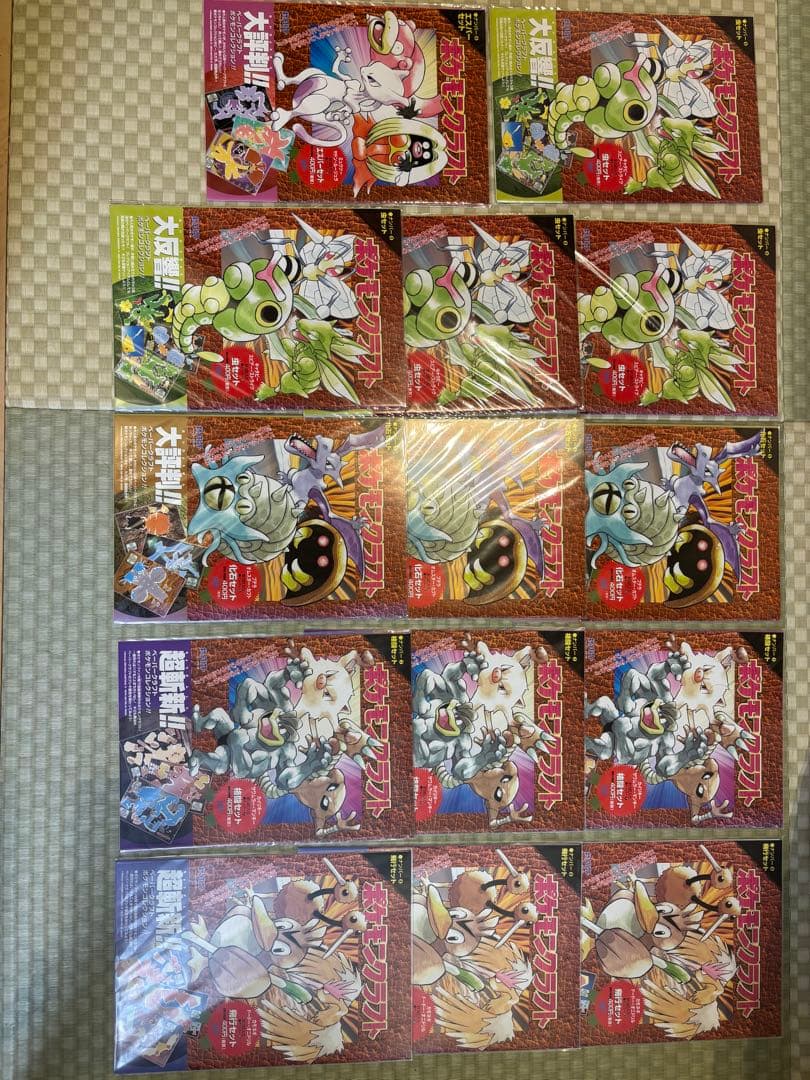 ポケモンクラフト 14冊セット エスパー　虫　化石　格闘　飛行　全て新品未開封