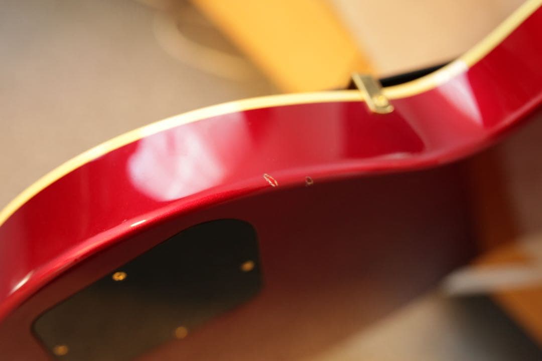 FUJIGEN NEO CLASSIC SNLS101 日本製 限定モデル