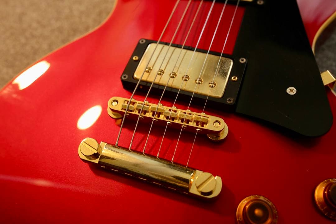 FUJIGEN NEO CLASSIC SNLS101 日本製 限定モデル