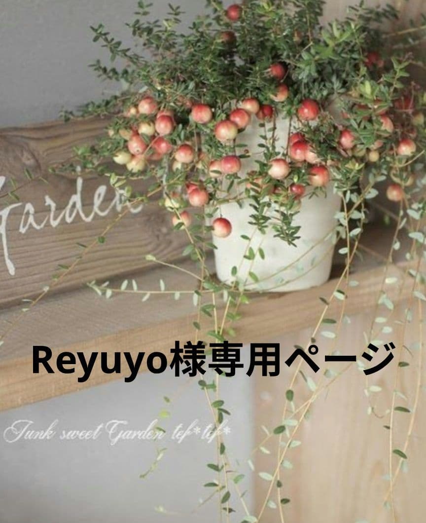 Reyuyoページです♬*°