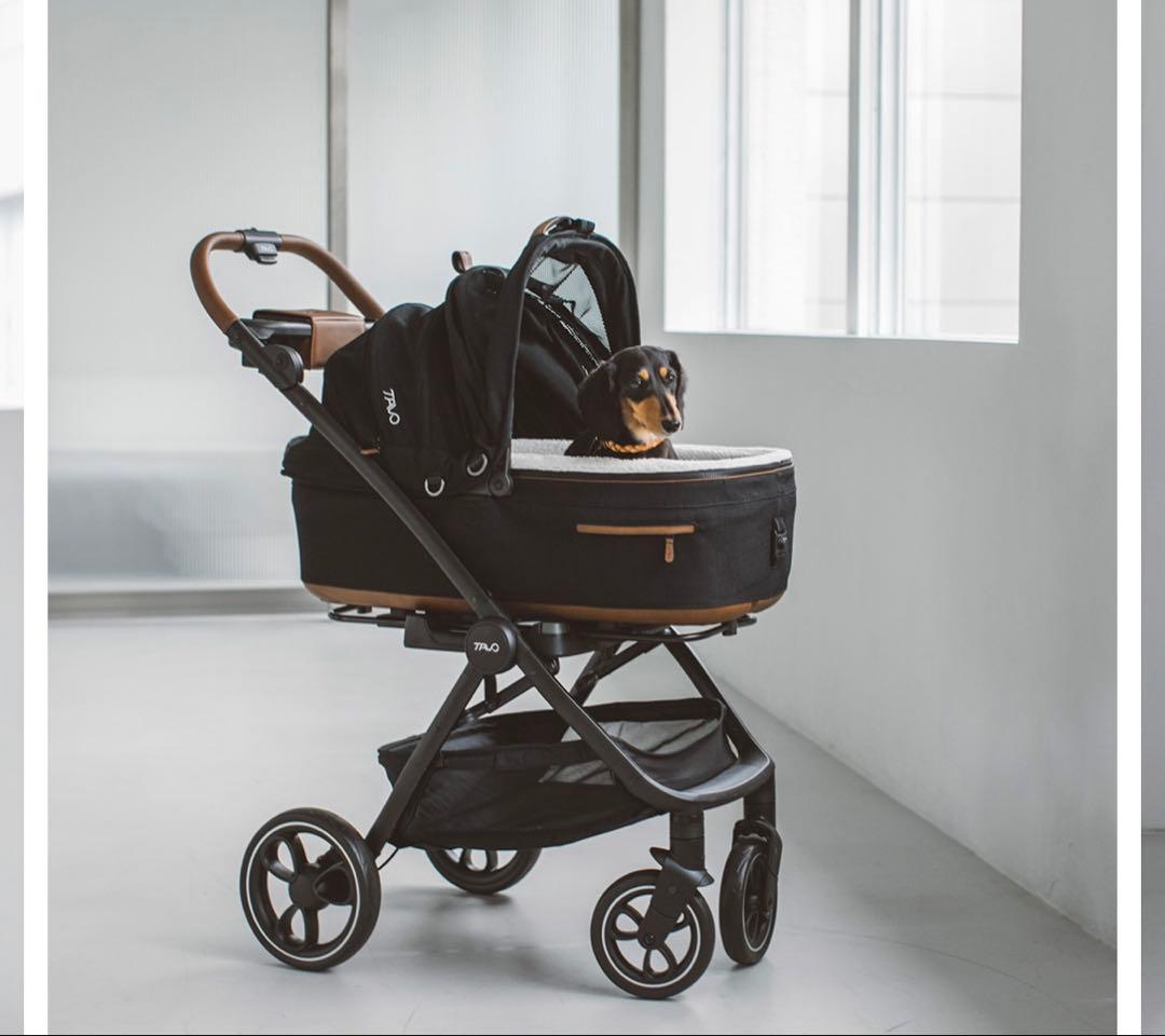 プロフ必見さん TAVO ペットカート デコピン愛用　大谷翔平