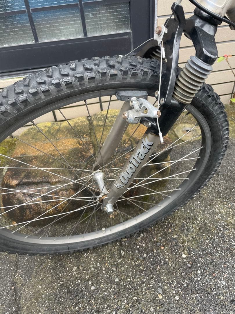 アラヤ　マディフォックス