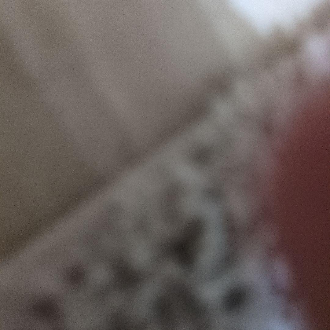 けけけけけけけけけけけけけけけけけけけけけけけけけけけけけけけけけけけけけけけい