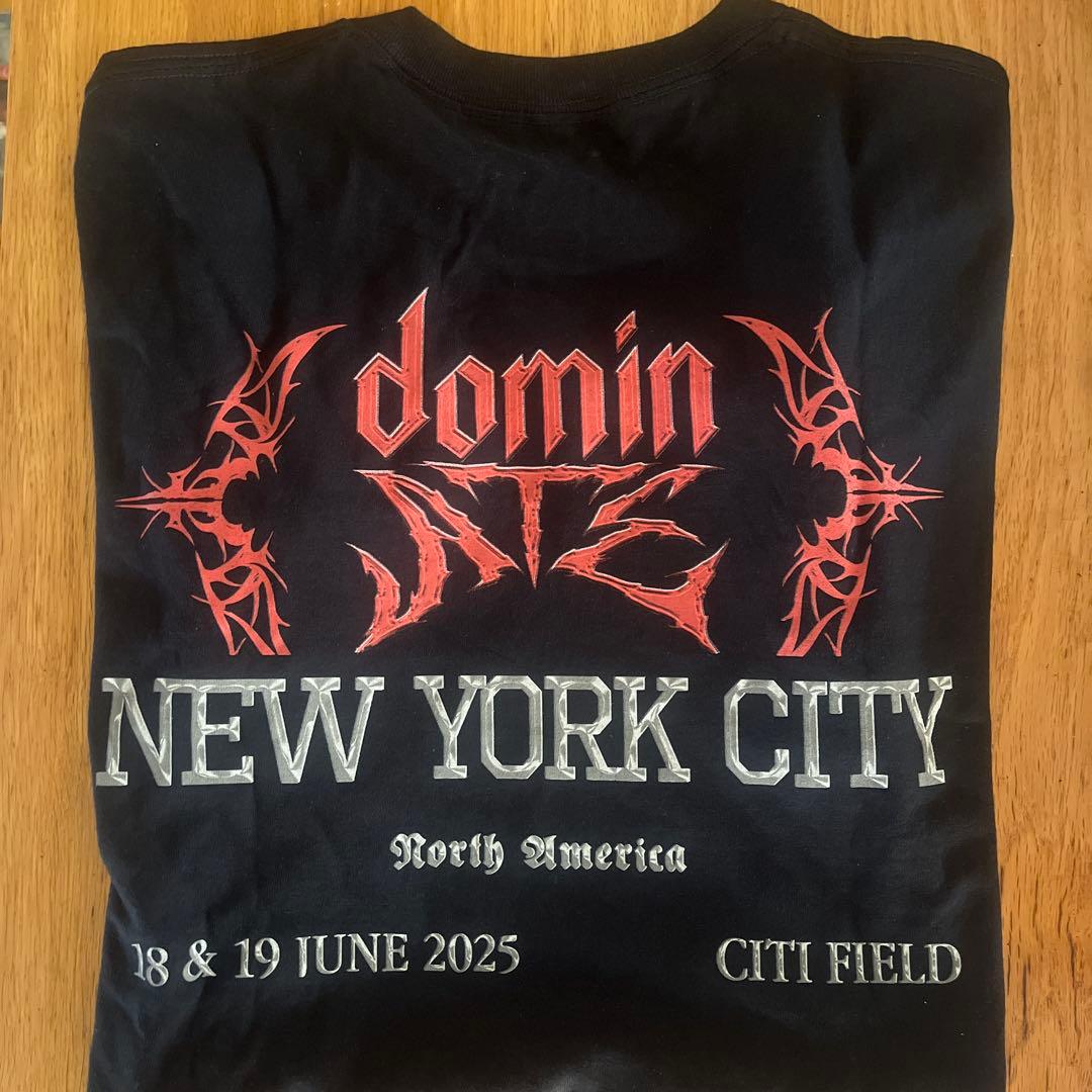 straykids スキズ ワールドツアー 北米グッズ Tシャツ Lサイズ