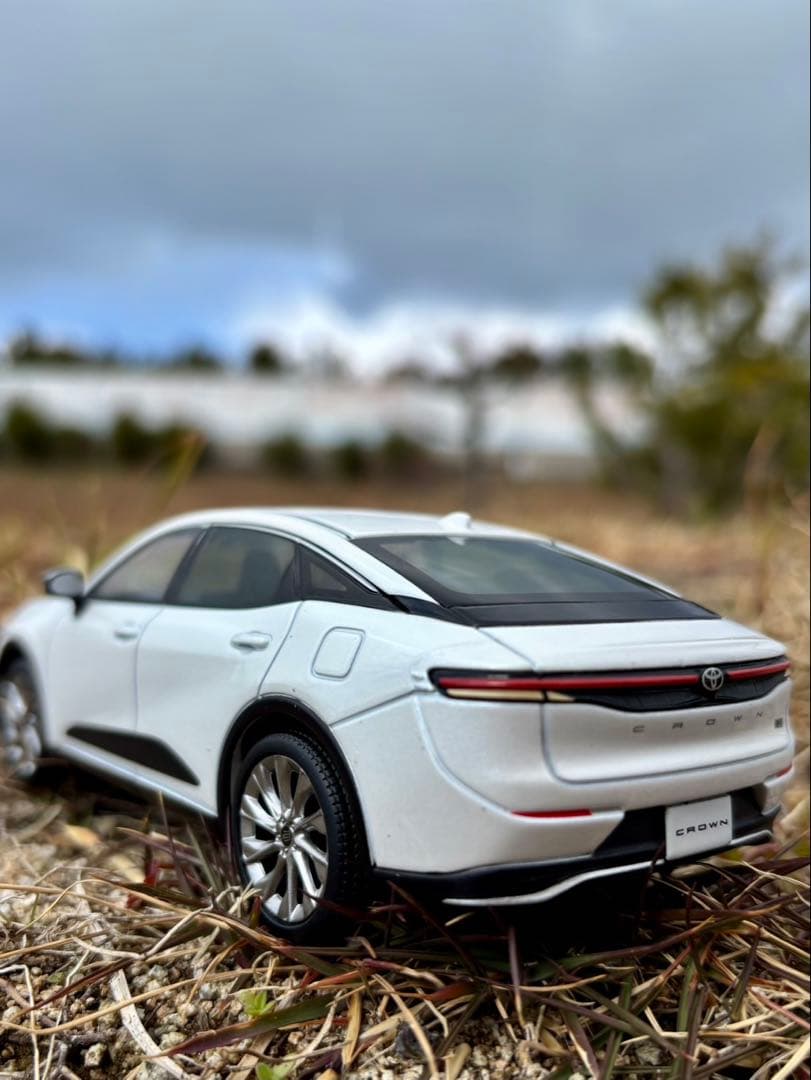 非売品　クラウン　カラーサンプル　2台セット