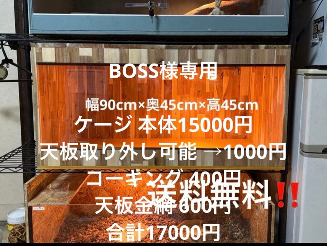 BOSS　アカシア904545