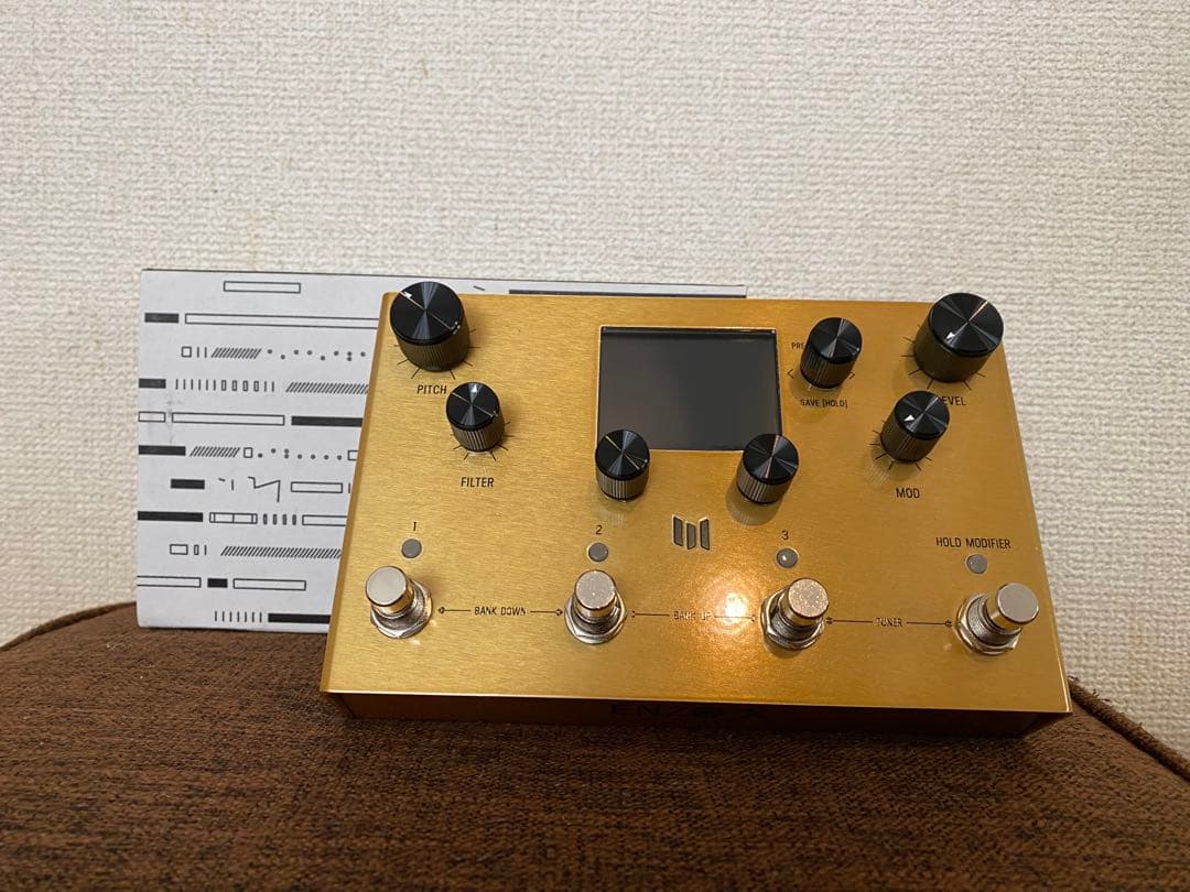 ギター Meris Enzo X