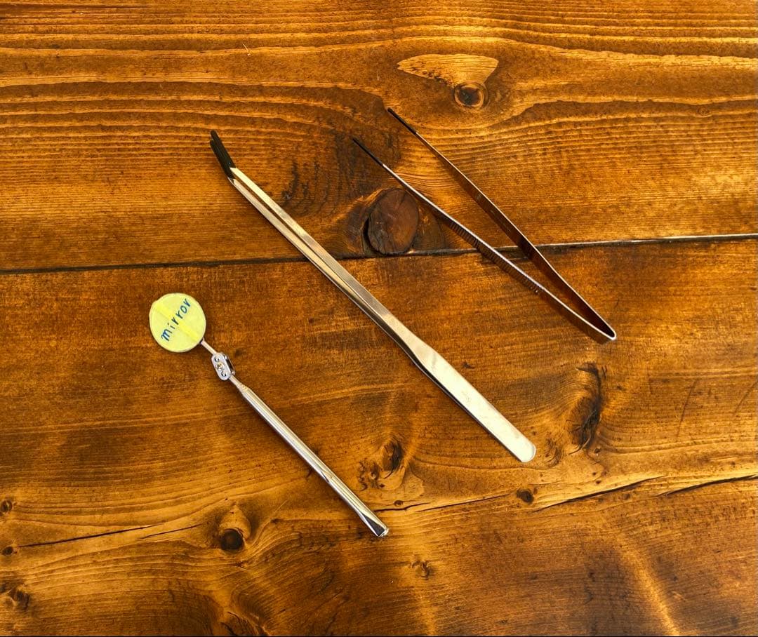 クワガタ採集セット　掻き出し棒　ライト付き　デジタルノギス　懐中電灯　採集ケース