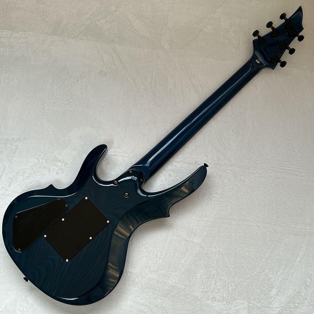 EDWARDS E-TN-98G エドワーズ アーム、汎用ソフトケース付