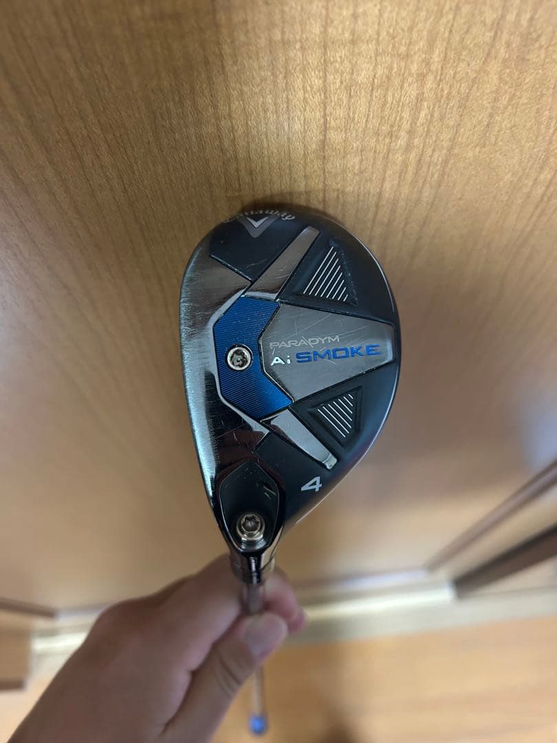 パラダイスAIスモーク4U レフティー用　スチールシャフト　DGX100