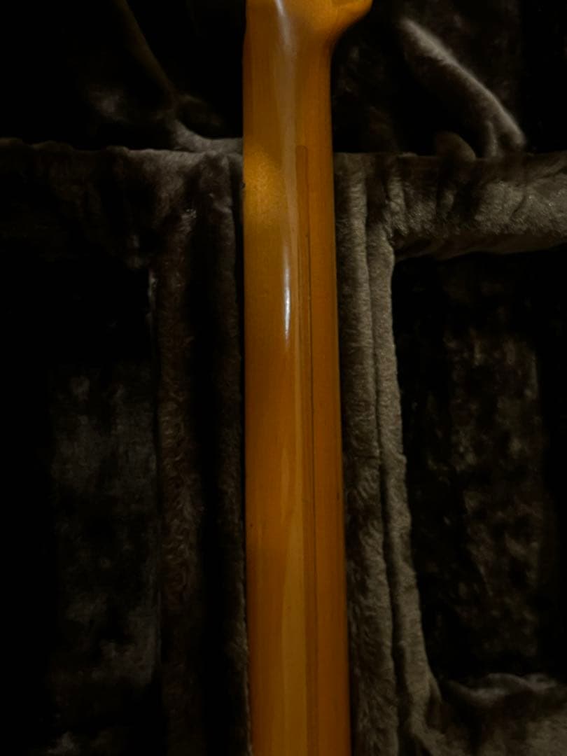 Momose テレキャスター 初期3桁シリアル