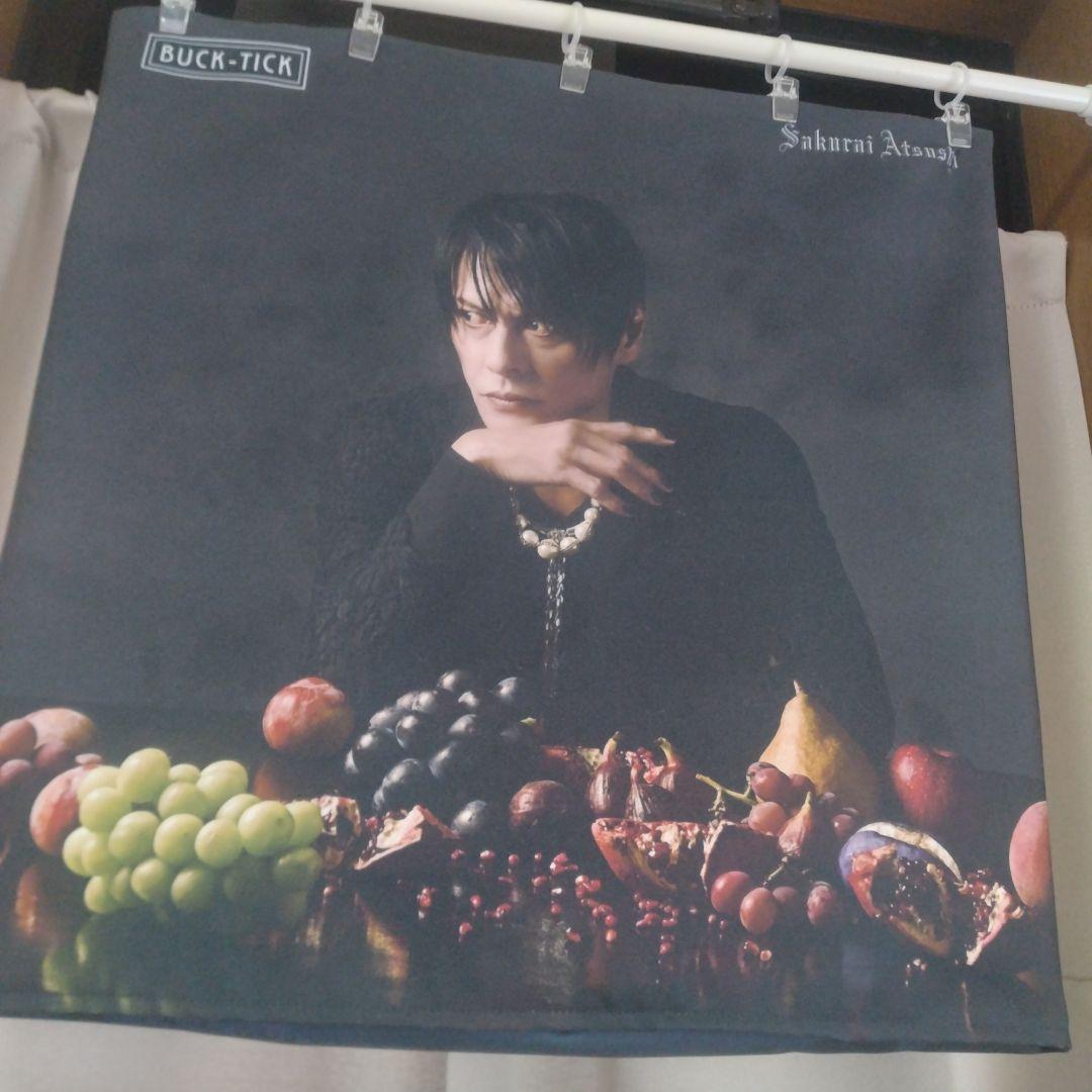 BUCK-TICK 櫻井敦司 クッションカバー2枚セット