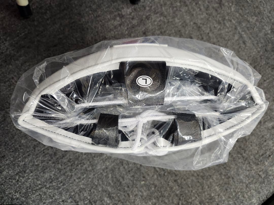 Winning ウイニング ヘッドギア FG-2900 L 赤 新品 確実正規品