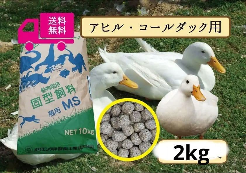 送料無料【アヒル、コールダック用飼料】10kg大袋