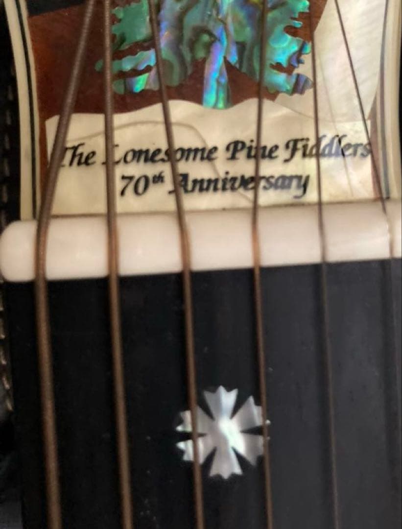 超レア、ヴィンテージギター ブルーリッジの限定モデル「BR-2060」価値有り‼️