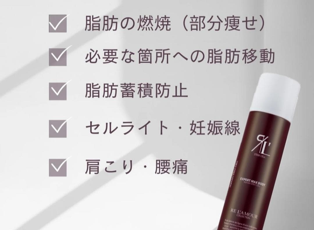 EXPERT MAX BODY 210gリアボーテ　エキスパートマックスボディ