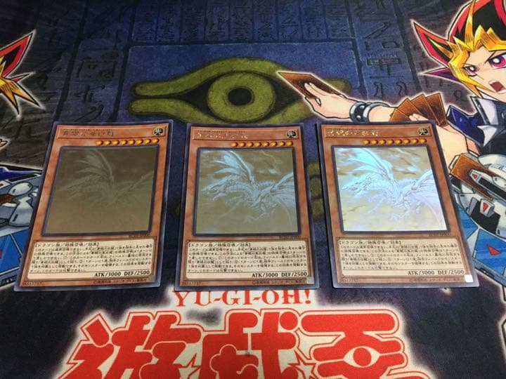 遊戯王 青眼の亜白龍 ホログラフィックレア 3枚セット