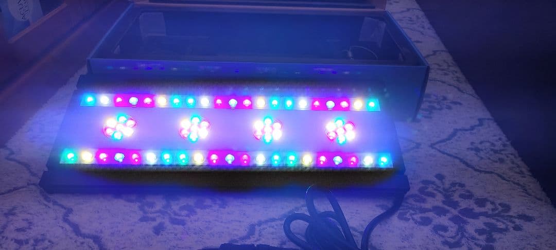 スペクトラ　ＳＰ２００ ブラック