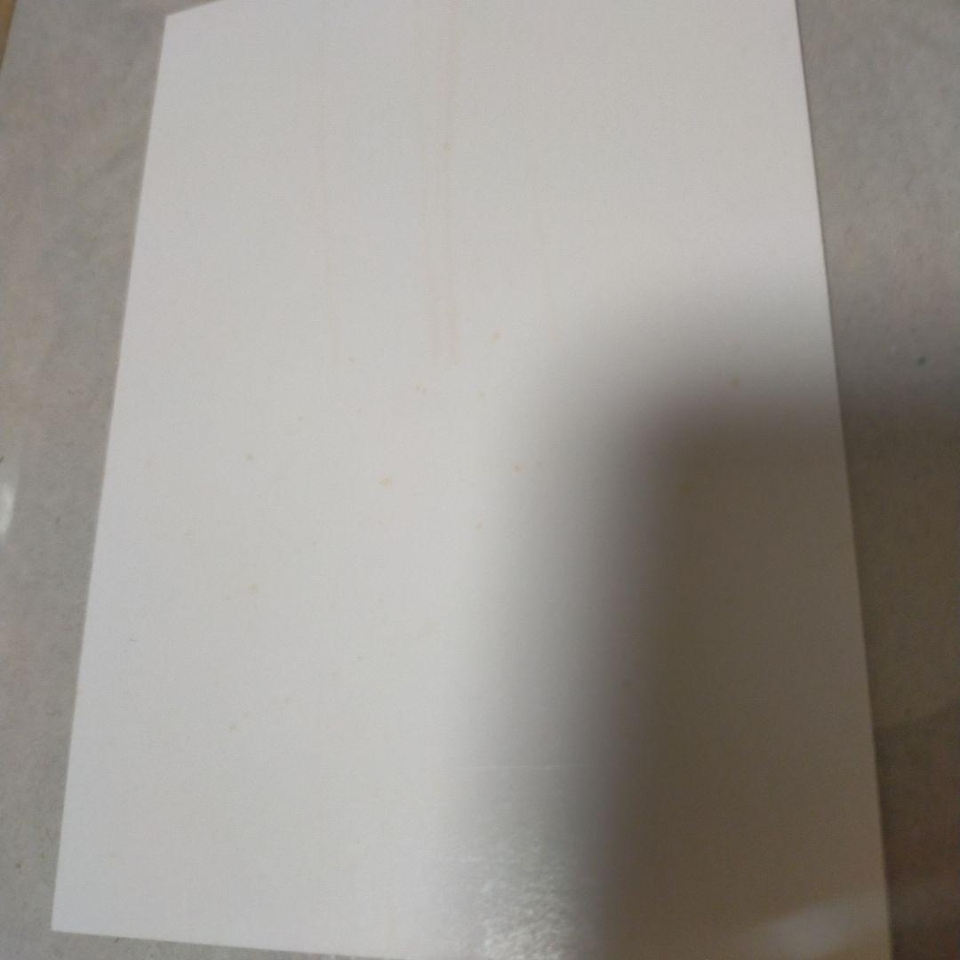 非売品　ベルセルクトレーディングカード 初回限定版封入 アートカード　グリフィス