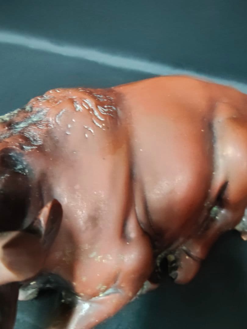 【重量9.6kg】銅製 臥牛 置物 在銘 親子 牛 縁起物 オブジェ 骨董