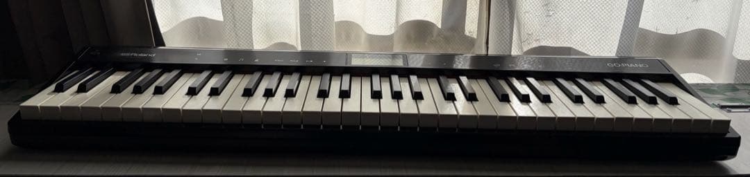 Roland GO:PIANO GO-61P 電子ピアノ キーボード 2018年