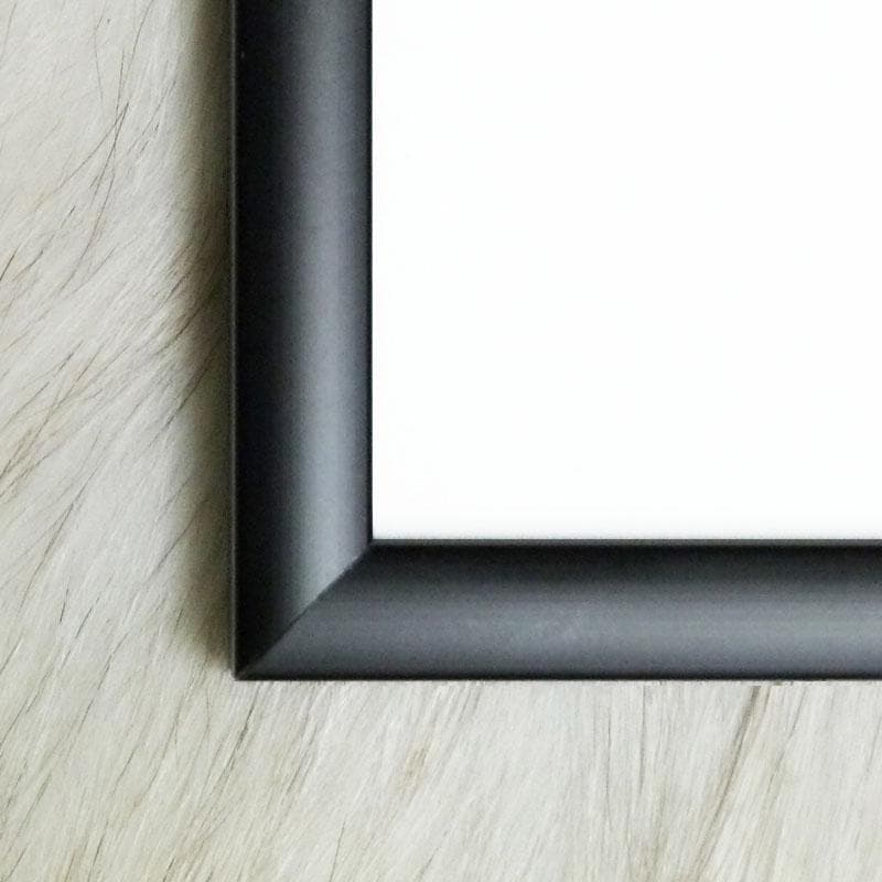 額装品/Fantomerne リタカーンラーセン/アート/ポスター/インテリア