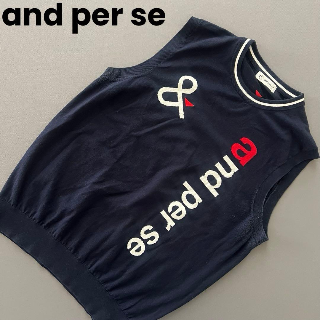 and per se アンパスィ　ニット　ベスト　メンズ　XL LL メンズ