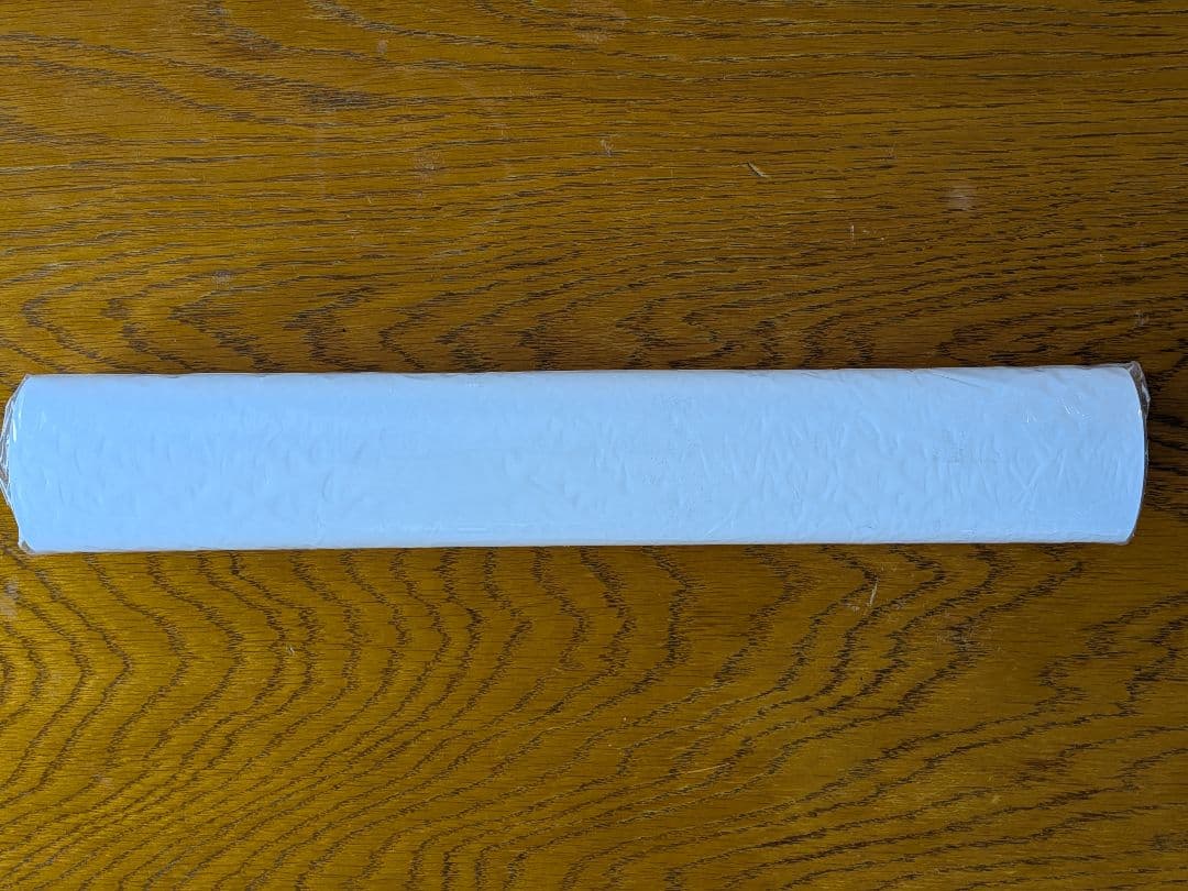 棚橋弘至　直筆サイン入りポスター　新日本プロレス　東京ドーム