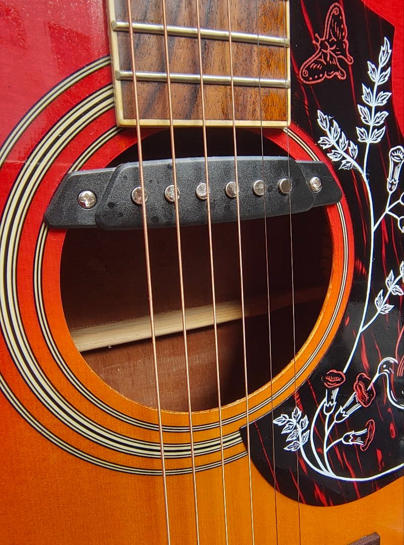 美品 ハミングバード Wピックアップ付エレアコ トップ単板