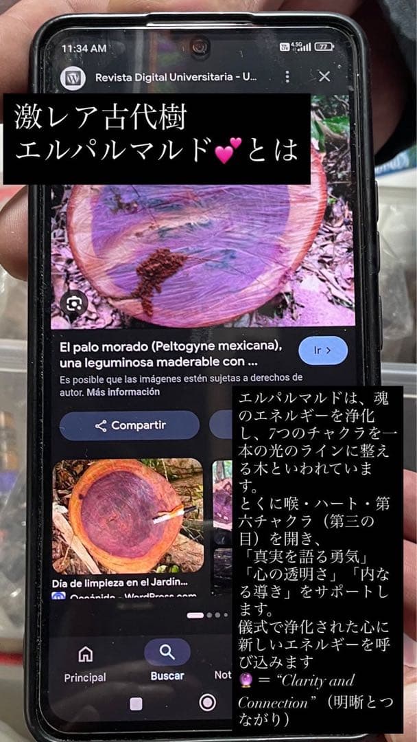 【限定4点激レア、超強烈】古代樹エルパルマルドの両鼻同時ピューマハペ