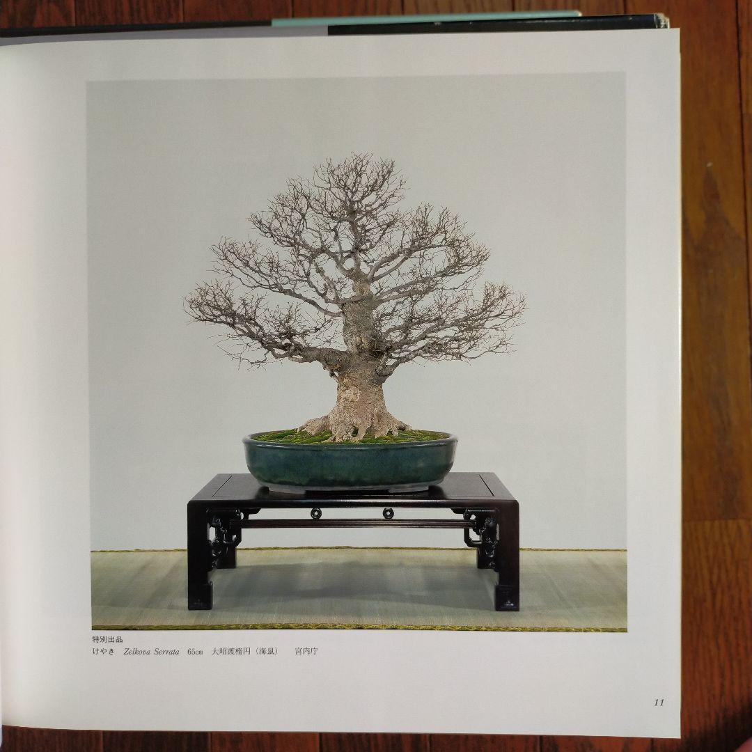 国風盆栽展　14冊