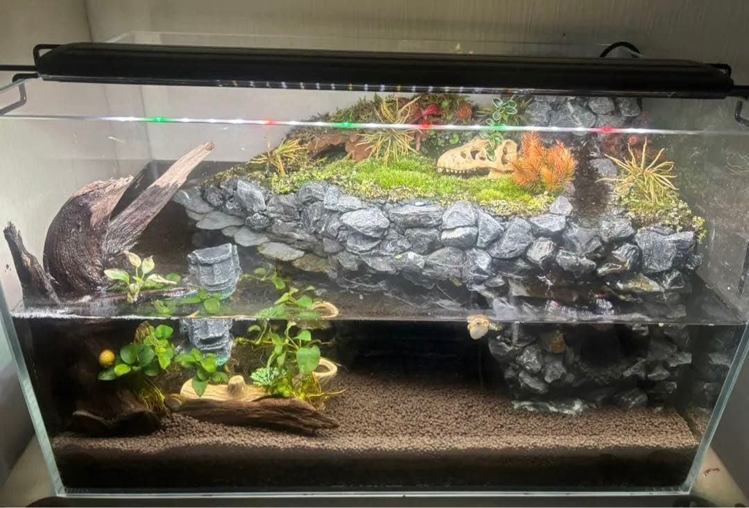 イモリウムセット　小川付　50×30×30