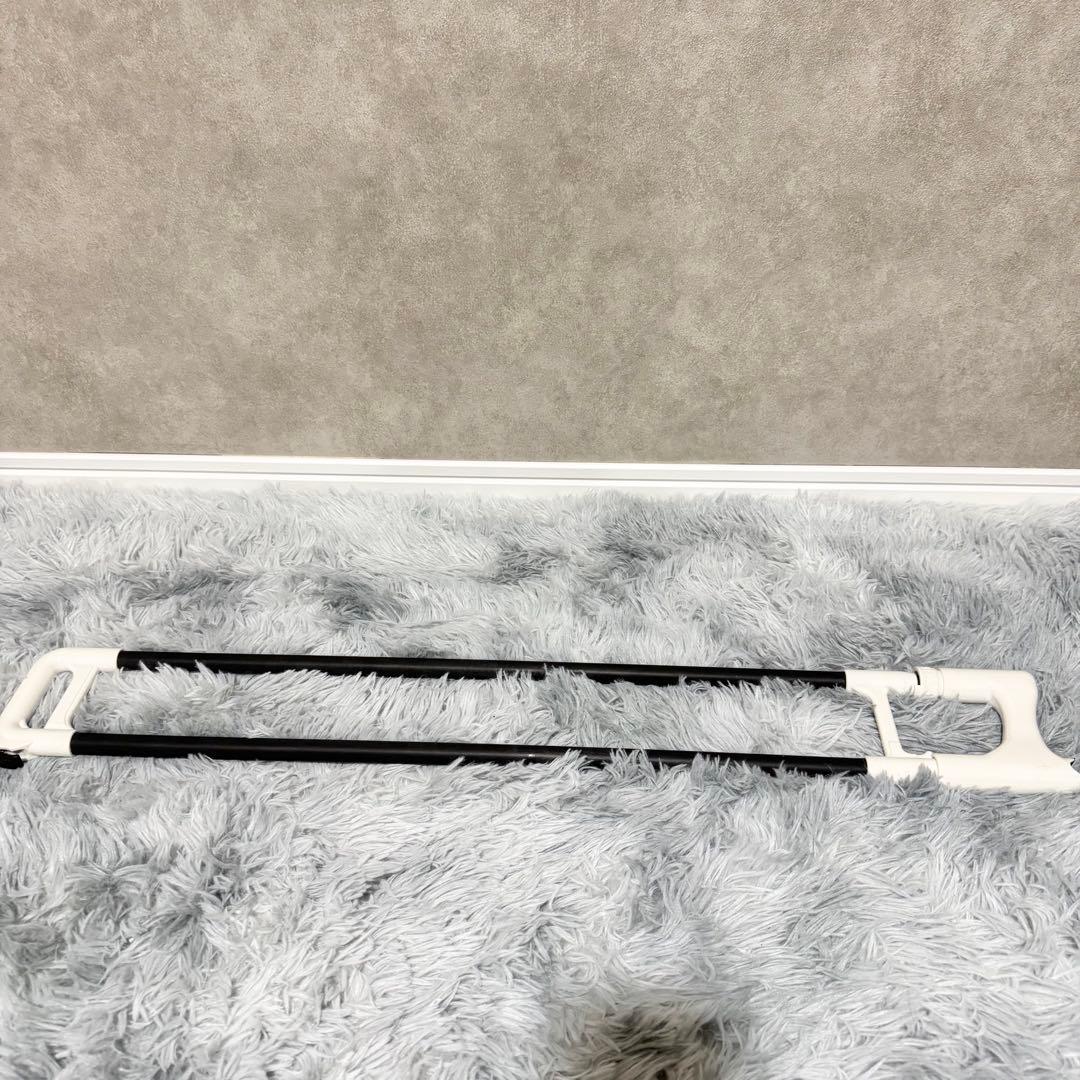 【極美品】ピーボーン ホワイトトロンボーン プラスチック